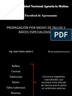 Propagación 2021-I P. Raíces y Tallos Especializados