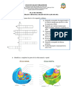 Plan de Mejoramiento Ciencias Naturales 601-602-603