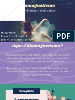 Biomagnetismo em Organismos Vivos Concept Check