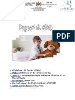 Rapport de Stage 2023