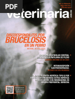 Brucelosis: Discoespondilitis Por en Un Perro