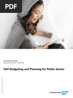 SAP Budgeting and Planning For Public Sector