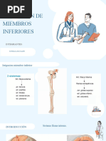 Irrigacion Arterial, Irrigacion Venosa-Miembros Inferiores