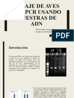 Sexaje de Aves Por PCR