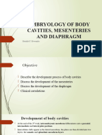 Embryology of Body Cavities, Mesenteries and Diaphragm