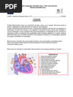 Atividade 3 Bimestre Circulação