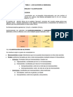 B2 Tema 2 - Glúcidos