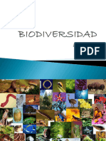 Bio Divers I Dad 2019