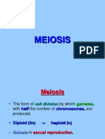 Meiosis