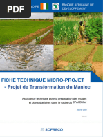 F3 - Projet de Transformation Du Manioc