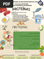 PROTEINAS