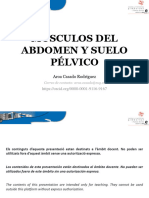 Músculos Del Abdomen y Suelo Pélvico