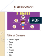 Class 5 PPT On Human Sense Organ