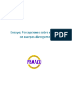 Ensayo Femaku