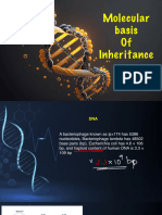 Molecular Basis of Inheritance