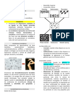 Cosmética - Emulsiones 14-11-23