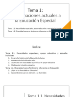 Tema 1. Aproximaciones Actuales A La Educación Especial