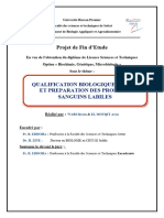 Rapport PFE 2021