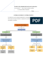 Guia de Control Economico y Control Politico Grado 10