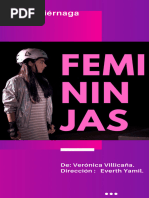 Carpeta Obra de Femininjas