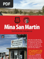 Mina San Martin