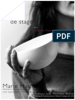 Rapport de Stage PDF