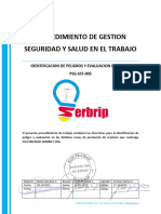 Psg-Sst-003-Identificación de Peligros y Evaluación de Riesgos