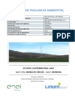 Informe de Vigilancia Ambiental