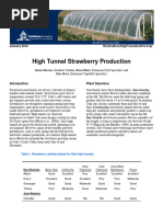 High Tunnel Strawberry Production