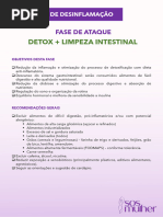 Detox + Limpeza Intestinal: Fase de Ataque