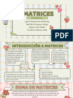 Proyecto Matrices, PT 1