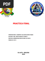 Practica Final