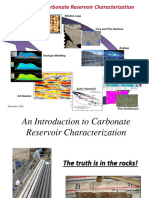 1.1 An Introduction To Carb Reservoir Characterization