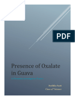 Presence of Oxalate in Guava