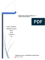 Rapport N5final