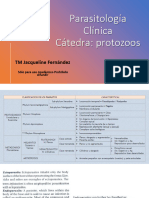 I Parte Protozoos Intestinales Amebiasis