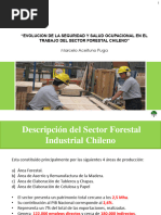 S3 Evolucion-De-La-Seguridad-Y-Salud-Ocupacional-En-El-Trabajo-Del-Sector-Forestal-Chileno