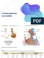 Sist Resp Trocas Gasos 2023.2