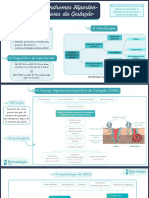 Mapa Mental - Síndromes Hipertensivas Da Gestação