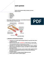 IB Biology HL: 6.2 The Blood System - Human Physiology