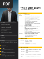 Tarık Emir Ergün CV