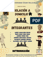 Violacion A Domicilio