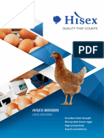 Hisex Brown CS Product Leaflet Cage English L1211-1 CSMPDNZ