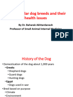 Breeds of Dogs