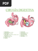 Cirugía Digestiva