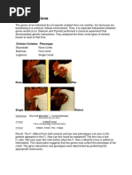 Enzyme and Gene Interaction