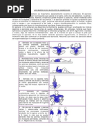 Ejercicios Durante El Embarazo