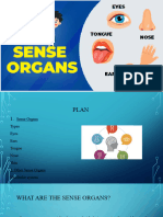 Sense Organs