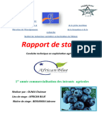 Rapport de Stage Myrtilliers African Blue