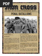 Iron Cross Penal